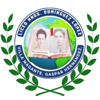 Liceo Hermanos Domínguez López